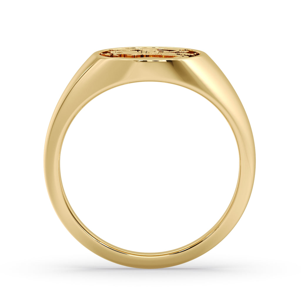 (ZADAR) 9ct Yellow Gold Signet ring image 3